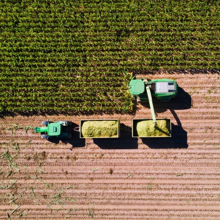 Eine Luftaufnahme eines Mähdreschers bei der Getreideernte (Bild: picture alliance / Kzenon)