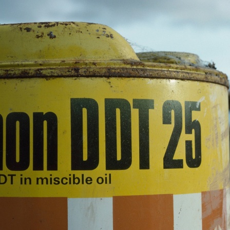 DDT in einem Blecheimer