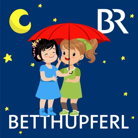 Die geheime Cofi-Bande (3/5): Tagebuch