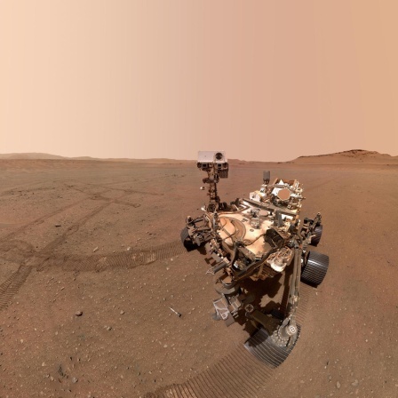 Mikroben auf dem Mars, Künstliches Blut, Klang der Dinosaurier