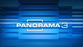 Logo Panorama 3