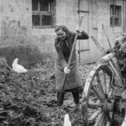 Bäuerin mit Mistgabel auf Misthaufen | Bild: BR Archiv