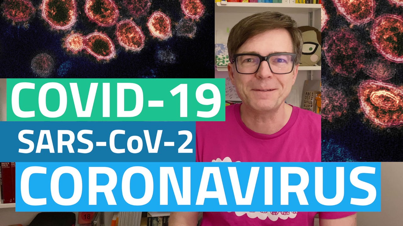Die Maus Der oder das Virus? Und warum Corona? ARD Mediathek