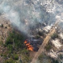Eine Aufnahme einer Drohne zeigt einen Waldbrand in einem munitionsbelasteten Gebiet bei Jüterbog (Teltow-Fläming). 