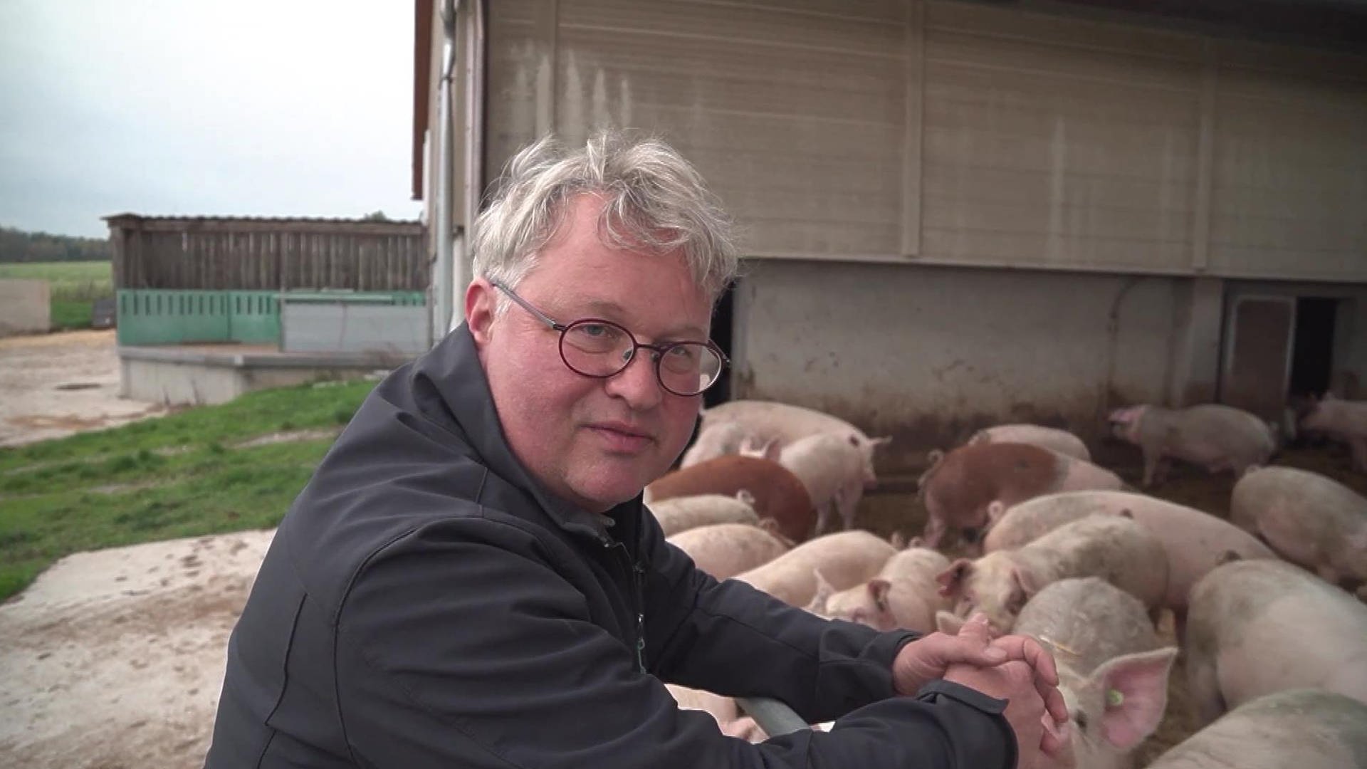 natürlich!: Schweinebauer stellt auf Biohaltung um | ARD Mediathek