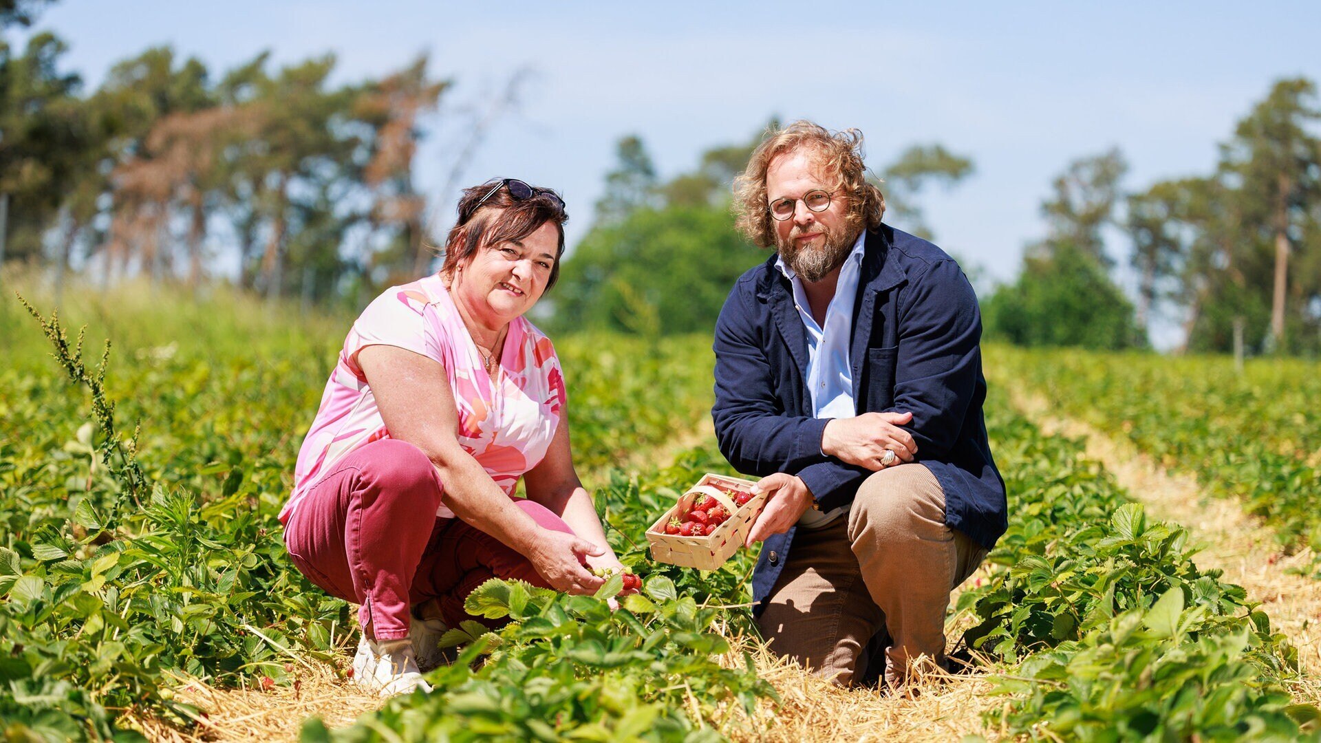 MDR Garten Erdbeeren im Freiland anbauen ARD Mediathek