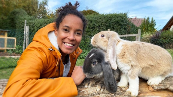 Anna, Pia Und Die Haustiere - Widderkaninchen