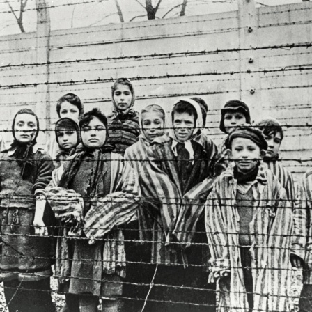Als Kind in Auschwitz - Die letzten Überlebenden erinnern sich