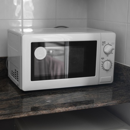 Die Mikrowelle - Vom Radargerät in die Küche