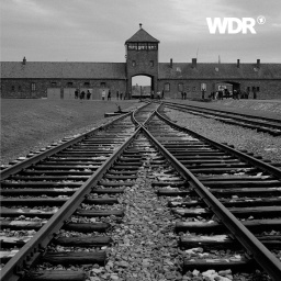  Die Bahngleise, auf denen Hunderttausende von Menschen ankamen, um in die Gaskammern des ehemaligen Nazi-Todeslagers Auschwitz Birkenau (Auschwitz II) gebracht zu werden, in Oswiecim, Polen.