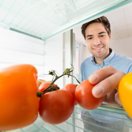 Tomaten im Kühlschrank
