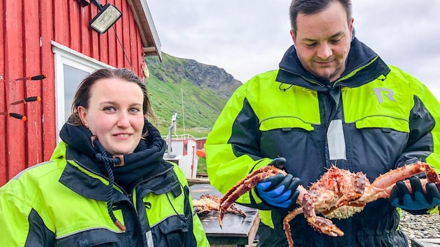 Die Passagiere Daniela Ohlig und Axel Müller fangen auf dem norwegischen Meer Königskrabben.