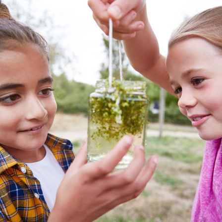 Zwei Mädchen betrachten Wasserlinsen in einem Glas: Wie lernen Kinder und Jugendliche ökologisch zu handeln? Kitas und Schulen sollen ein Klima der Veränderung pflegen.