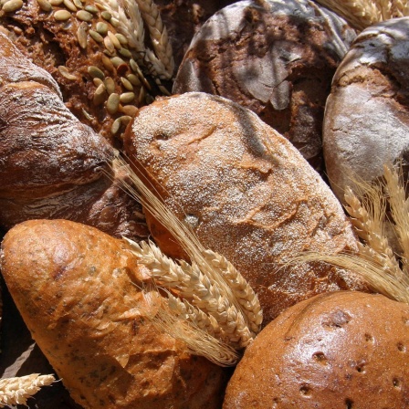 verschiedende Brotlaibe