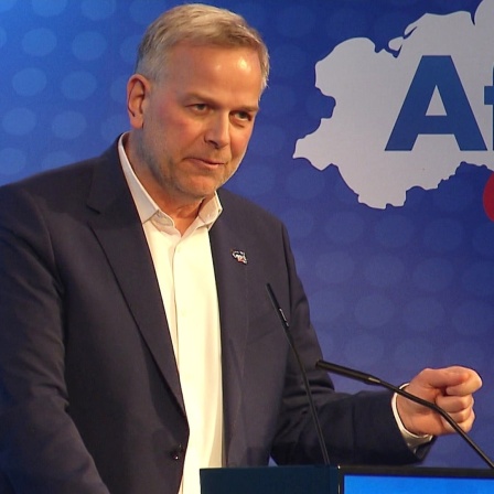 Leif-Erik Holm von der AfD.