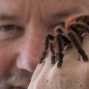 “Spinnen haben keinen Penis.” | Peter Jäger über Faszination und Nutzen der Spinnen