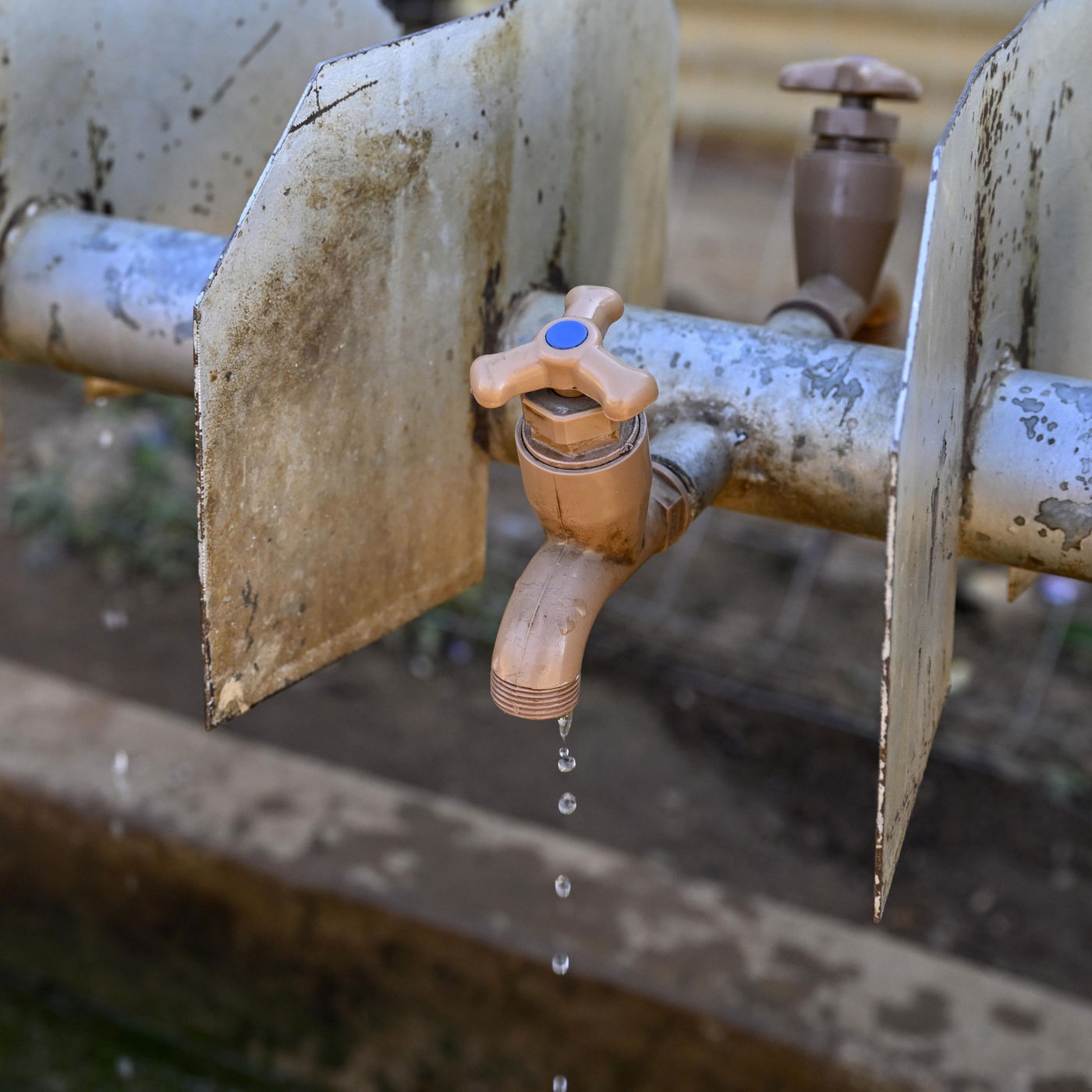 WDR 5 Neugier Genügt - Das Feature · Südafrika: Wassermangel In ...