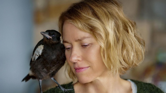 Filme Im Ersten - Beflügelt – Ein Vogel Namens Penguin Bloom
