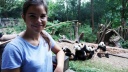 Anna ist zu Besuch in einer Aufzuchtstation für Pandas in China. Hier werden sie gezüchtet und ausgewildert. Denn in der Wildnis sind die Tiere vom Aussterben bedroht. | Bild: BR/TEXT + BILD Medienproduktion GmbH & Co. KG