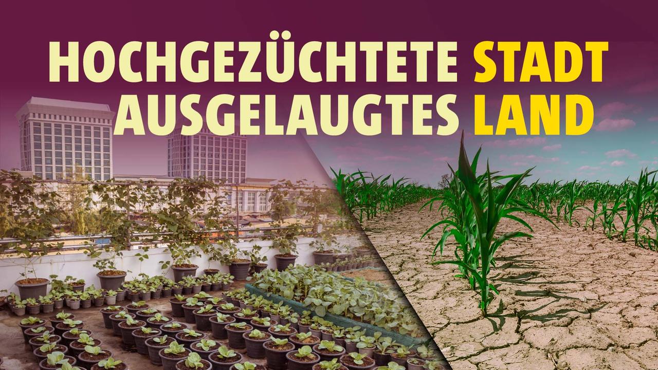 Stadt - Land: Wie geht’s besser?: Wie geht Landwirtschaft besser? (S01