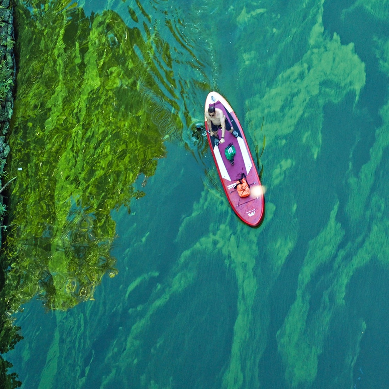 Wissen · Sauerstoffarmut in Seen ein Teufelskreis? · Podcast in der ARD Audiothek
