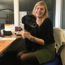 Kollege Hund - Wie Hunde den Büroalltag verändern