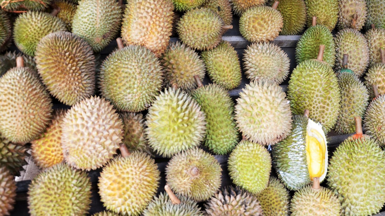 Malaysia: Hype um die Durian
