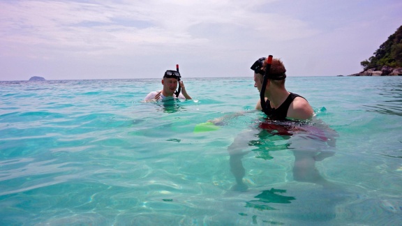 Verrückt Nach Meer - Die Affen Von Tioman (213)