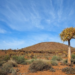 Südafrika