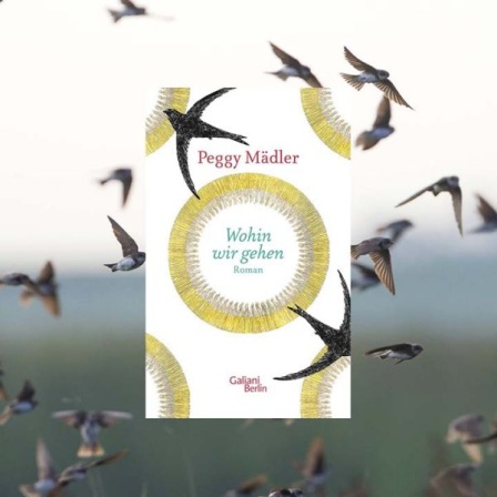 Collage Fliegender Schwarm Uferschwalben + Buchcover Peggy Mädler: Wohin wir gehen © imago/AGAMI/R. Martin/verlag kiepenheuer&witsch