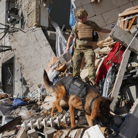 Ein ukrainischer Soldat sucht in Charkiw mit einem Hund nach Opfern in einem Wohnhaus, das nach einem russischen Bombenangriff schwer beschädigt wurde.
