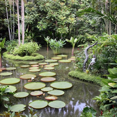 Im botanischen Garten von Singapur wurden zwei Tote gefunden. Professor van Dusen ermittelt. Zu sehen: Ein Teich im Botanischens Garten von Singapur. 
