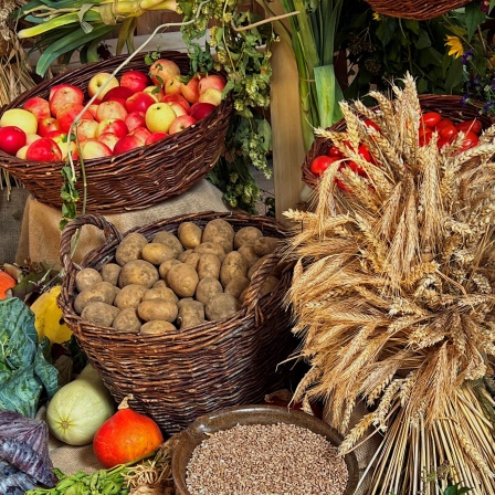 Landwirtschaftliche Erzeugnisse wie Obst, Gemüse und Getreide