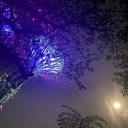 Der Himmel über Singapur bei Nacht mit Vollmond zwischen beleuchteten Bäumen (Super Trees) im Parkgelände "Gardens by the Bay".
