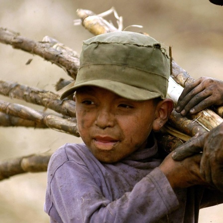 Bittersüßes Zuckerrohr - Jugendliche Landarbeiter in Guatemala