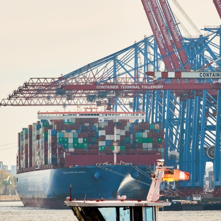 Ein Passagierschiff fährt an den Kränen und Containerschiffen im Hamburger Hafen am HHLA-Terminal Tollerort vorbei.