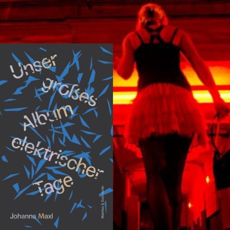 Cover Johanna Maxl: "Unser großes Album elektrischer Tage", im Hintergrund eine Prostituierte