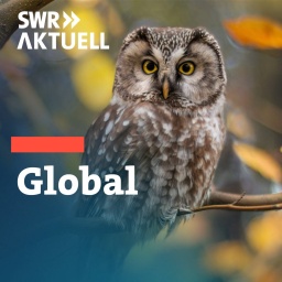 SWR Aktuell Global