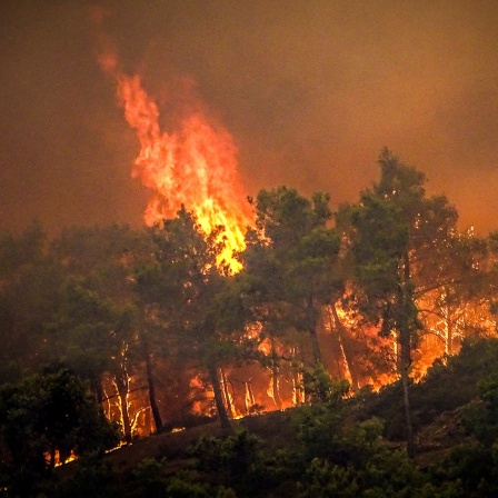 Waldbrand auf Rhodos
