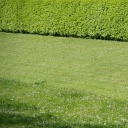 Ein Arbeiter mäht eine Rasenfläche