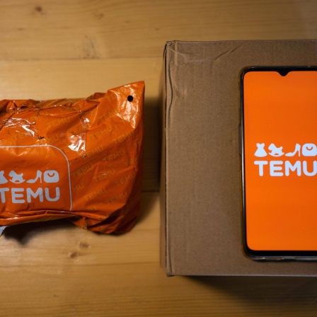 Temu App und Paket