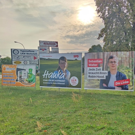 Wahlplakate zur Landtagswahl: L-R: Wahlplakat Freie Wähler, SPD, Linke mit Sebastian Walter, Grüne mit Antje Töpfer und Benjamin Raschke © picture alliance / dts-Agentur 