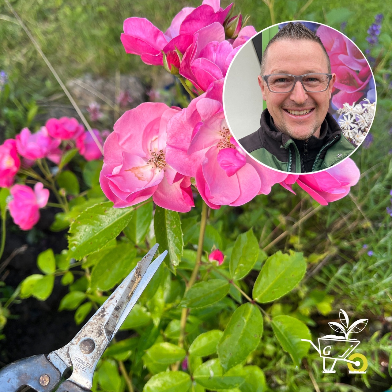 Komm mit in den Garten der ARD GartenPodcast · 89 Rosenpflege