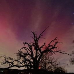 Polarlichter erscheinen über dem Murrtal bei Großerlach.