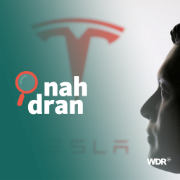 Der Tesla-Schriftzug, davor das Gesicht einer Statue von Elon Musk, dem CEO