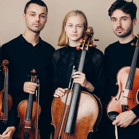 Novo Quartet