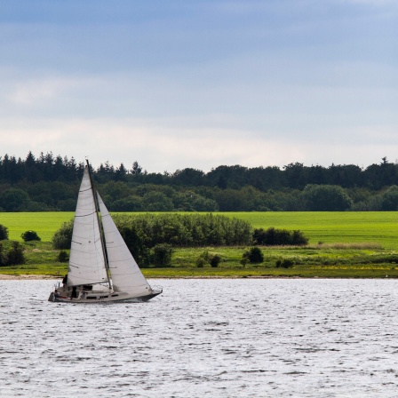 Segelboot im Fjord von Roskilde, Dänemark