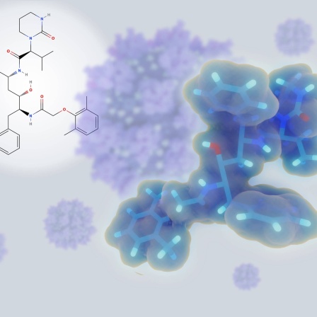 Behandlung des humanen Immundefizienzvirus HIV