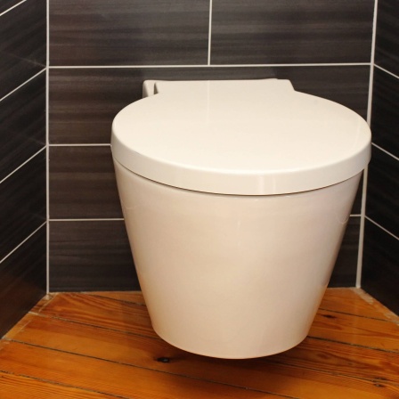 Toilette mit Papier und Klobürste