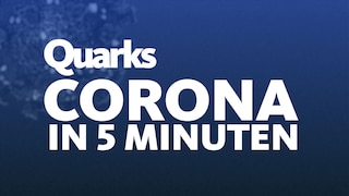 Schriftzug "Quarks - Corona in 5 Minuten"